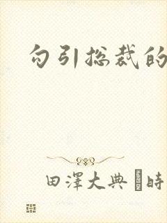 勾引总裁的小说封面