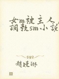 女m被主人虐玩调教sm小说封面