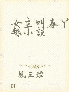 女主叫春丫的穿越小说封面