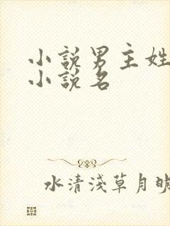小说男主姓黑的小说名