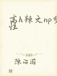 高h辣文np双性