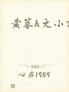 黄蓉h文小说