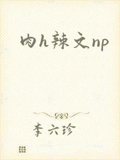 肉h辣文np封面
