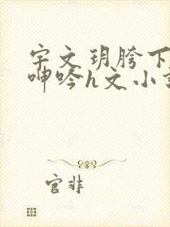 宇文玥胯下娇喘呻吟h文小说封面