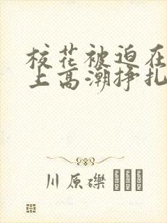 校花被迫在刑具上高潮挣扎小说