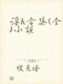 淫h合集(全黄)小说