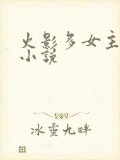 火影多女主同人小说封面