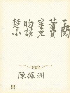 楚昀宁萧王穿越小说免费阅读无弹窗封面