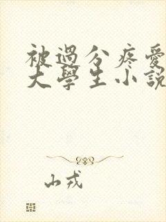 被过分疼爱的男大学生小说封面