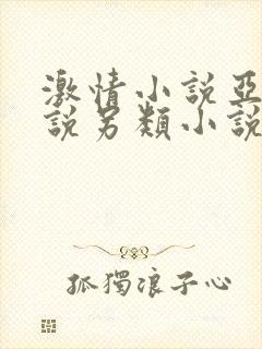 激情小说亚洲小说另类小说