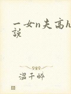一女n夫高h小说