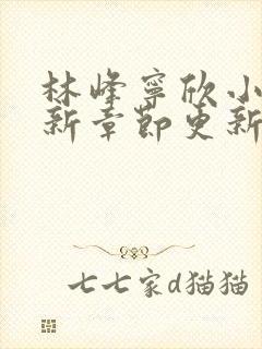 林峰宁欣小说最新章节更新时间是多少