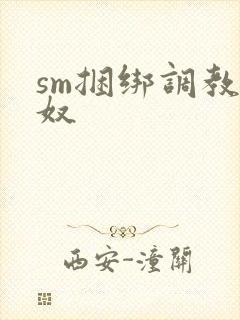 sm捆绑调教男奴封面