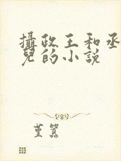 摄政王和丞相女儿的小说