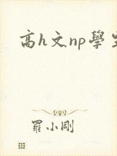 高h文np学生