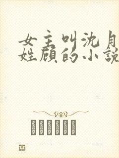 女主叫沈月男主姓顾的小说