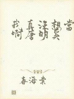 我真没想当反派啊唐明奚封面