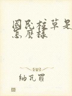 国民校草是女生怎么样