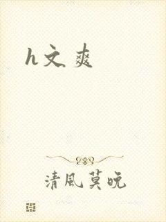 h文爽