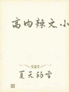 高肉辣文小说封面