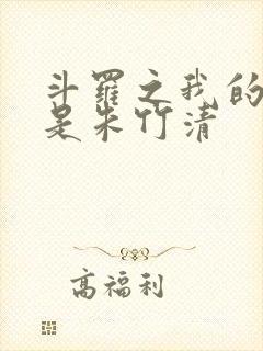 斗罗之我的老婆是朱竹清