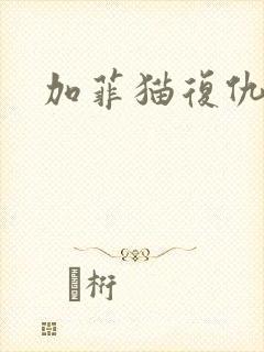 加菲猫复仇记封面