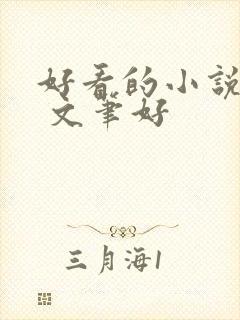 好看的小说推荐 文笔好