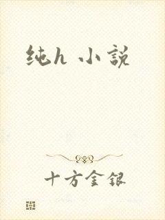 纯h 小说