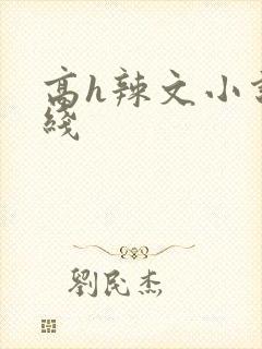 高h辣文小说在线