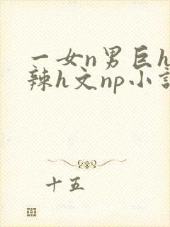 一女n男巨h高辣h文np小说