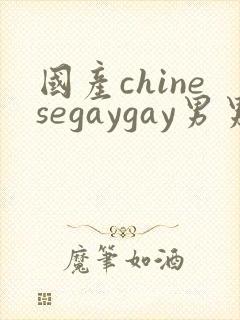 国产chinesegaygay男男网站