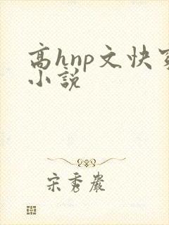 高hnp文快穿小说