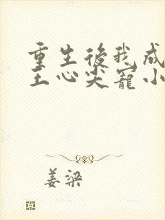 重生后我成了傻王心尖宠小说