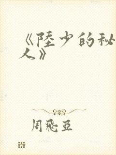 《陆少的秘密恋人》