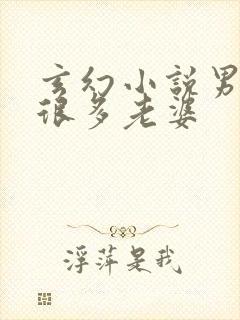 玄幻小说男主有很多老婆