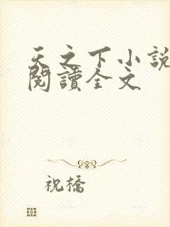 天之下小说在线阅读全文