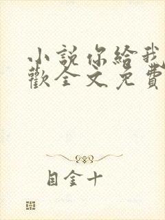 小说你给我的喜欢全文免费阅读封面