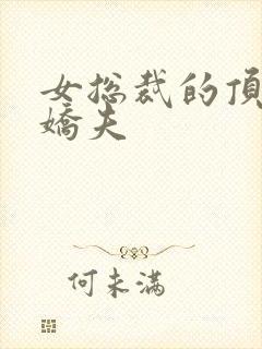 女总裁的顶流小娇夫封面