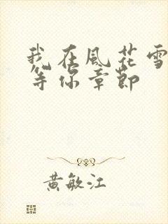 我在风花雪月里等你章节