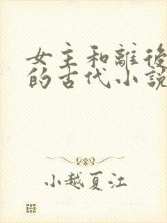 女主和离后二嫁的古代小说