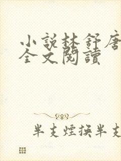 小说林舒唐亦琛全文阅读