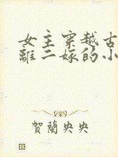 女主穿越古代和离二嫁的小说