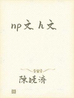 np文 h文
