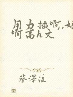 用力插啊,好爽啊高h文