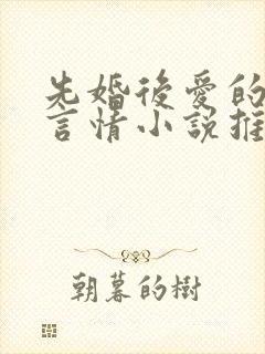 先婚后爱的现代言情小说推荐封面