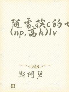 随处挨c的世界(np,高h)1v