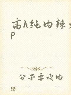 高h纯肉辣文np封面