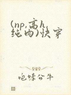 (np,高h,纯肉)快穿