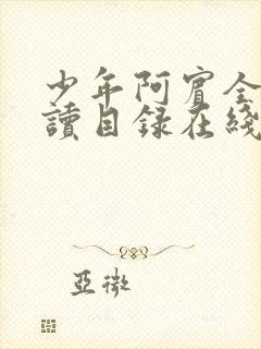 少年阿宾全文阅读目录在线阅读黄小洁