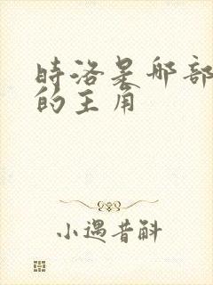 时洛是哪部小说的主角